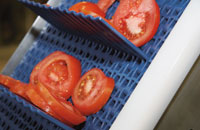 Tomato's On Belt